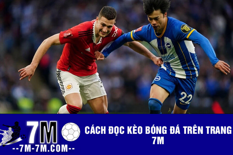 Cách đọc kèo bóng đá Cách đọc kèo bóng đá