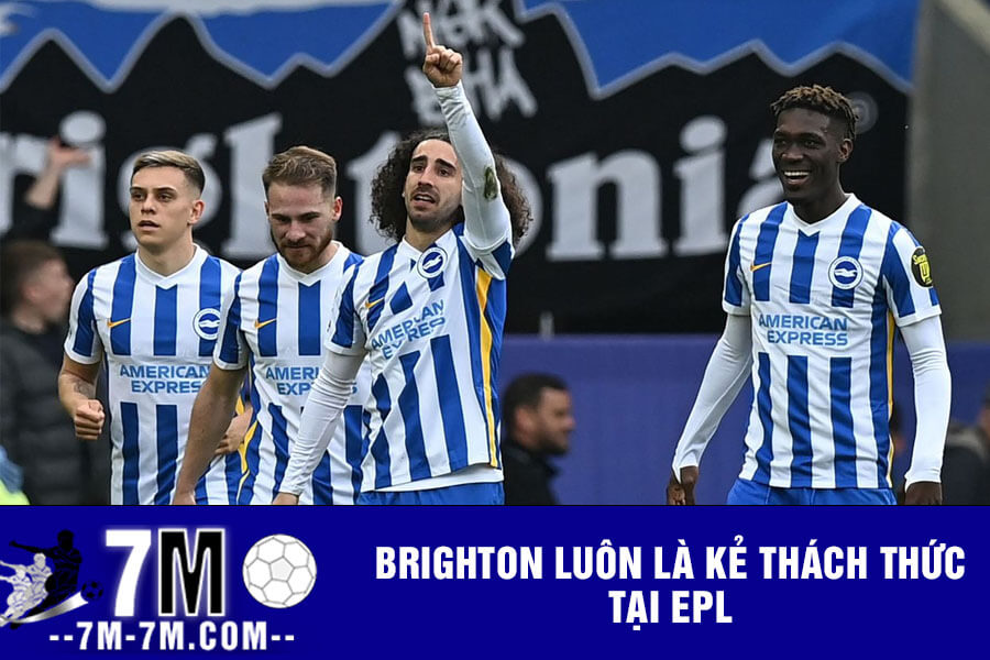 Brighton luôn là kẻ thách thức tại EPL Brighton luôn là kẻ thách thức tại EPL
