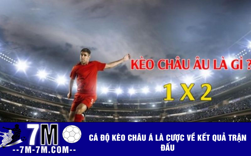Cá độ kèo Châu Á là cược về kết quả trận đấu Cá độ kèo Châu Á là cược về kết quả trận đấu