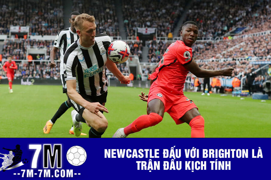 Newcastle đấu với Brighton là trận đấu kịch tính Newcastle đấu với Brighton là trận đấu kịch tính